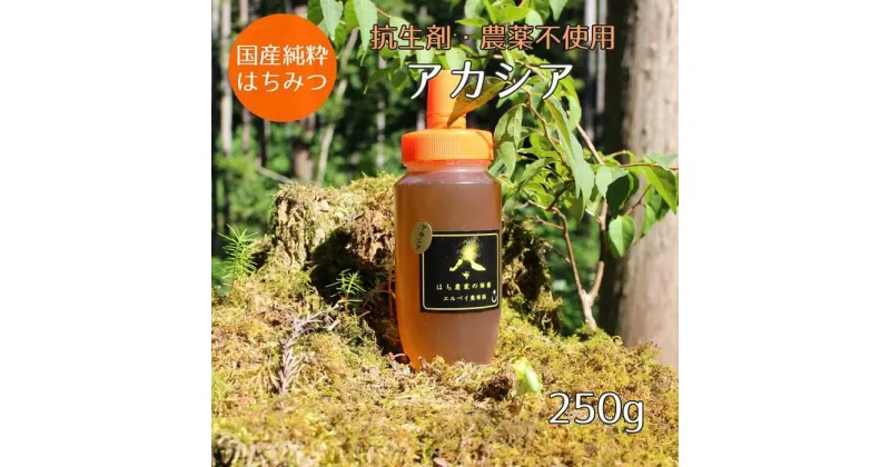 【ふるさと納税】はちみつ　アカシアの花250g（ご家庭用）