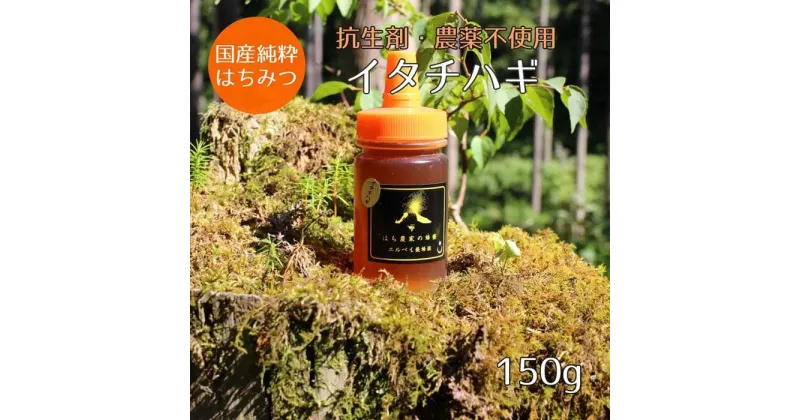 【ふるさと納税】はちみつ　イタチハギの花150g（ご家庭用）