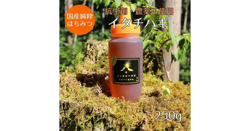 【ふるさと納税】はちみつ　イタチハギの花250g（ご家庭用）