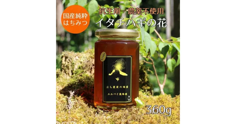 【ふるさと納税】はちみつ　イタチハギの花360g