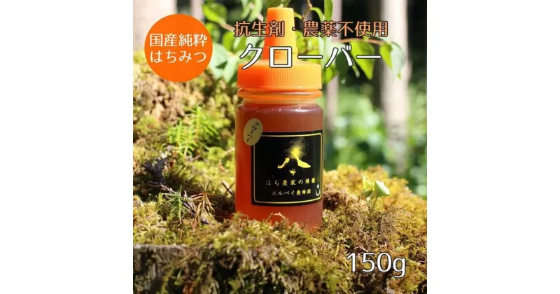 【ふるさと納税】はちみつ　クローバー 150g（ご家庭用）