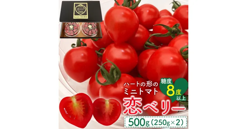 【ふるさと納税】秋田県産ミニトマト「恋ベリー」 500gギフトBOX | 野菜 やさい 食品 ギフト 人気 おすすめ 送料無料 トマト とまと プチトマト 夏野菜 新鮮 旬 旬野菜 お取り寄せ サラダ ジュース お弁当 甘い 美容 家庭用 自宅用 産地直送 農家直送