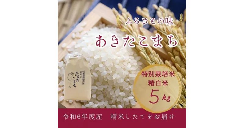 【ふるさと納税】【11月中旬より発送予定】令和6年度産　特別栽培米「あきたこまち」精白米5kg | お米 こめ 白米 食品 人気 おすすめ 送料無料