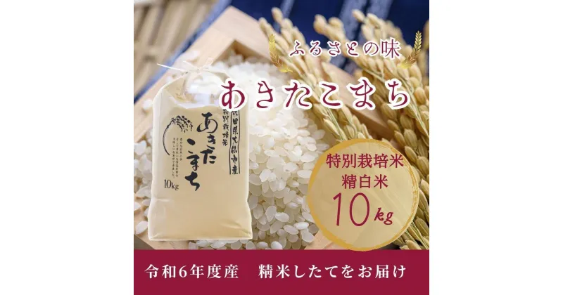 【ふるさと納税】【11月中旬より発送予定】令和6年度産　お届前に精米　特別栽培米「あきたこまち」精白米10kg | お米 こめ 白米 食品 人気 おすすめ 送料無料