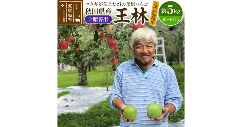 【ふるさと納税】＜先行予約＞りんご 王林（ご贈答用）約5kg (10〜16玉入) 伊東さんの「伏影りんご」 令和6年産 秋田県産 個数限定 リンゴ マタギのりんご