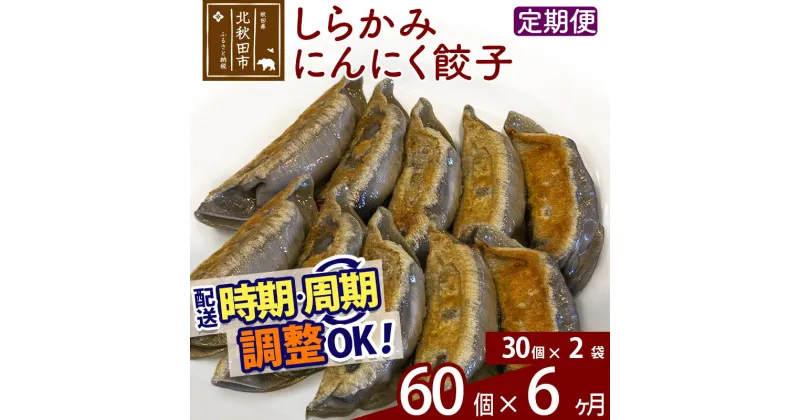 【ふるさと納税】【定期便6ヶ月】しらかみにんにく餃子 60個 (30個×2パック) お届け時期選べる 【冷凍】