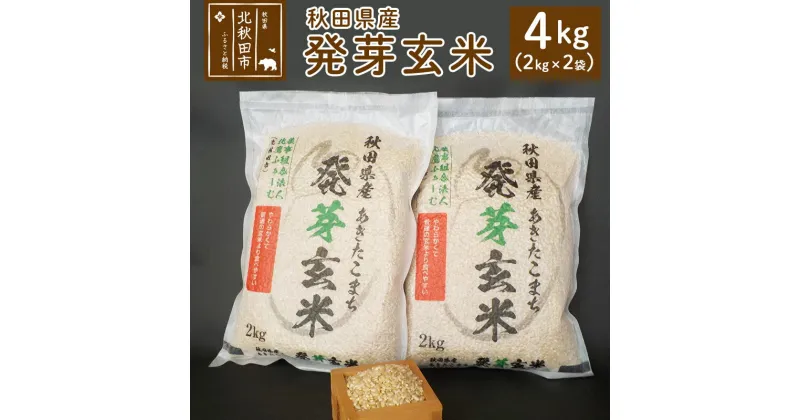 【ふるさと納税】令和6年産 発芽玄米（2kg×2袋）発芽米 玄米 ビタミン カルシウム ギャバ ミネラル 食物繊維