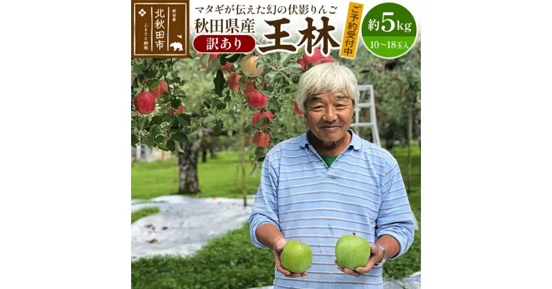 【ふるさと納税】＜先行予約＞りんご 王林（訳あり）約5kg (10〜18玉入) 伊東さんの「伏影りんご」 令和6年産 秋田県産 個数限定 リンゴ マタギのりんご