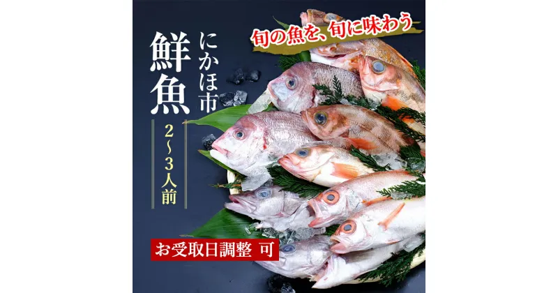 【ふるさと納税】鮮魚 開けたらすぐ食べられる下処理済み 海産物 2～3人前 セット 日本海の鮮魚 魚 パック 詰め合わせ 海鮮セット 鮮魚ボックス 海鮮 海の幸 魚介 魚介類 刺身 切り身 ひらめ 鯛 甘エビ 鯵 あんこう 鮭 カレイ ハタハタ 鱈 ズワイガニ 食べ比べ 冷蔵