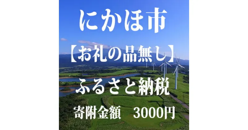 【ふるさと納税】寄附のみの応援受付 3,000円コース（返礼品なし 寄附のみ 3000円）　チケット