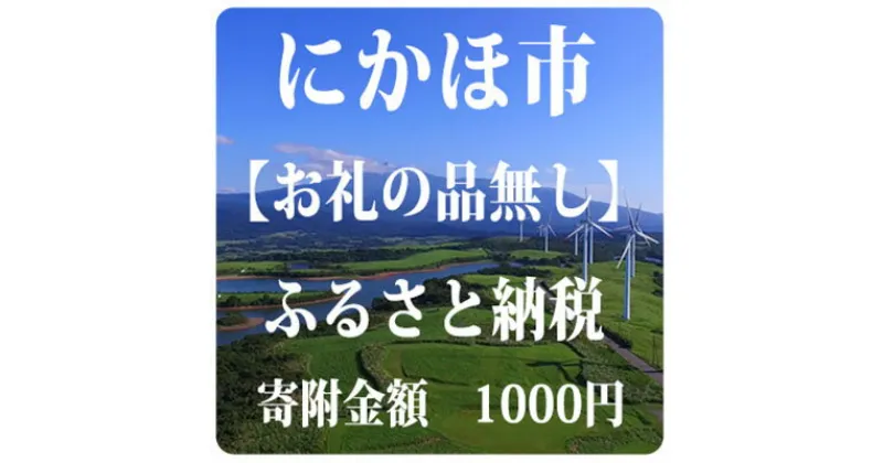 【ふるさと納税】寄附のみの応援受付 1,000円コース（返礼品なし 寄附のみ 1000円）　チケット