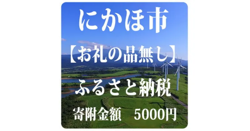 【ふるさと納税】寄附のみの応援受付 5,000円コース（返礼品なし 寄附のみ 5000円）　チケット