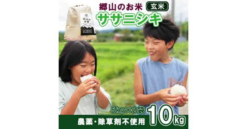 【ふるさと納税】農薬・除草剤不使用で栽培したササニシキ「郷山のお米 10kg」（5kg×2袋 玄米）　玄米 お米 米