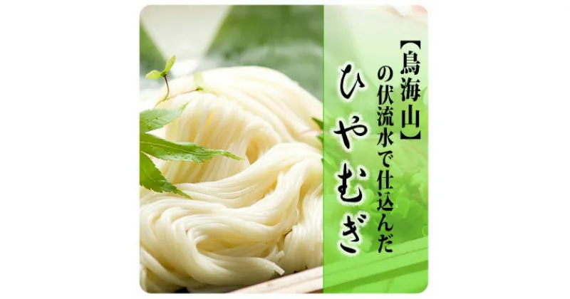 【ふるさと納税】ひやむぎ5束（10人前）の定期便（6ヵ月連続）　定期便・麺類 冷麦