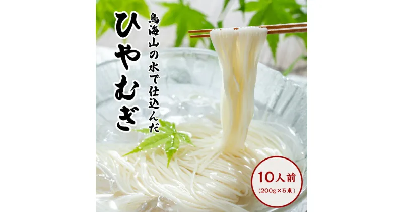 【ふるさと納税】ひやむぎ200g×5束（10人前 冷麦 冷や麦）　麺類 冷麦