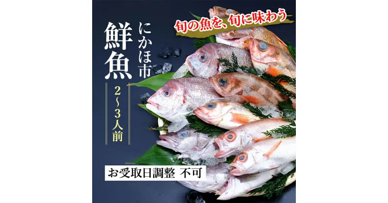 【ふるさと納税】鮮魚 下処理済み 日本海の鮮魚 2～3人前(5～8種類) セット 魚 パック 詰め合わせ 海鮮セット 鮮魚ボックス 海鮮 海産物 海の幸 魚介 魚介類 刺身 切り身 ひらめ 鯛 甘エビ 鯵 あんこう 鮭 カレイ ハタハタ 鱈 ズワイガニ 冷蔵 発送メールのみ