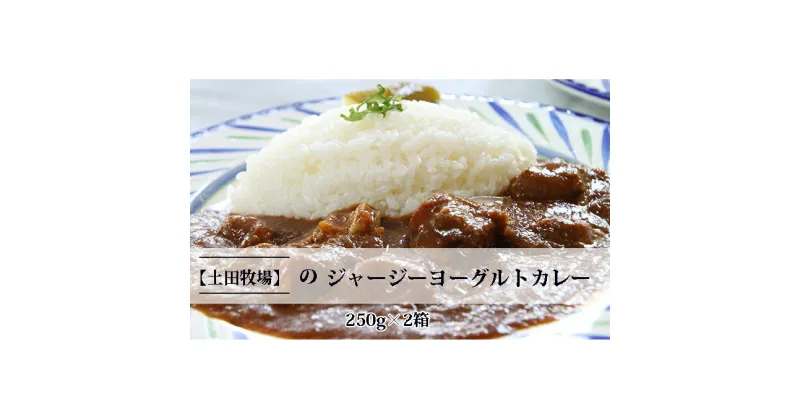 【ふるさと納税】ジャージーヨーグルトカレー 250g×2箱　加工食品 惣菜 レトルト カレー インスタント