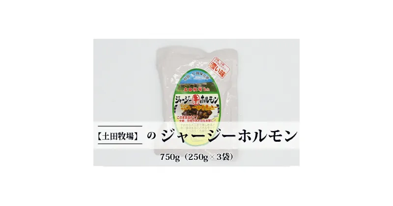 【ふるさと納税】ジャージー牛をまるごと煮込んだ ジャージーホルモン750g（250g×3袋 味噌味）　ホルモン 肉の加工品 加工食品 味噌味