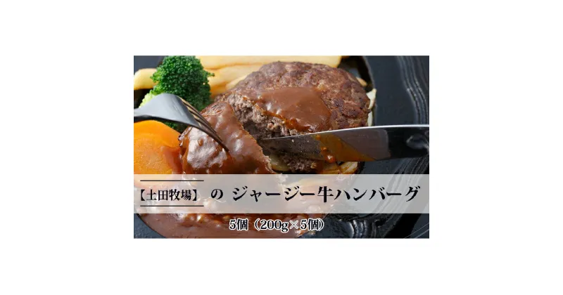 【ふるさと納税】ジャージー牛を使用した ハンバーグ 5個（200g×5個）　お肉 ハンバーグ 加工食品 惣菜 レトルト ジャージー牛