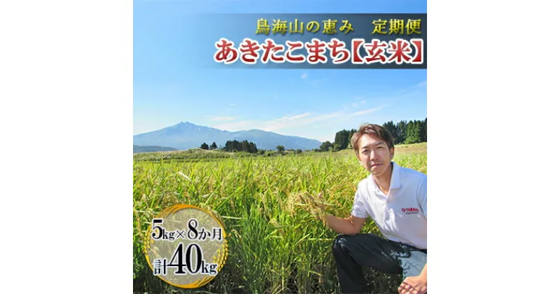 【ふるさと納税】【定期便】5kg×8ヶ月 鳥海山の恵み 農家直送！ あきたこまち（玄米）　定期便・お米 あきたこまち 玄米 8カ月 8回 サブスク