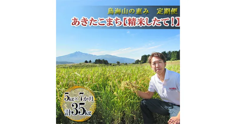 【ふるさと納税】【定期便】5kg×7ヶ月 鳥海山の恵み 農家直送！ あきたこまち［精米 したて！］　定期便・お米 あきたこまち 米 7カ月 7回 サブスク