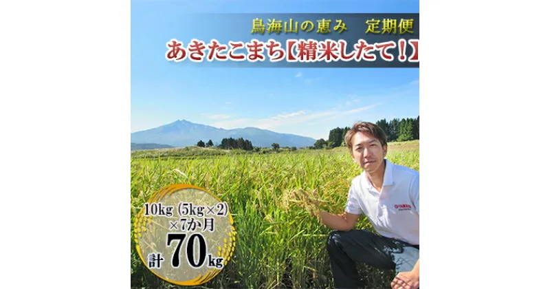 【ふるさと納税】【定期便】10kg（5kg×2袋）×7ヶ月 鳥海山の恵み 農家直送！ あきたこまち［精米 したて！］　定期便・お米 あきたこまち 米 7カ月 7回 サブスク