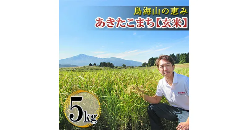 【ふるさと納税】鳥海山の恵み 農家直送！ あきたこまち 5kg(玄米)　お米 あきたこまち 玄米 5kg サブスク