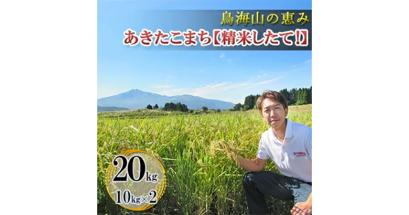 【ふるさと納税】鳥海山の恵み 農家直送！ あきたこまち 20kg(10kg×2袋)［精米 したて！］　お米 あきたこまち 米 20kg サブスク