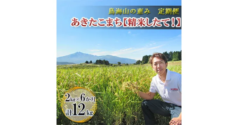 【ふるさと納税】《定期便》2kg×6ヶ月 鳥海山の恵み！秋田県産 あきたこまち ひの米（精米）計12kg（2kg×6回連続）　定期便・ ご飯 主食 ライス にかほ市 釜ヶ台 国産 おにぎり お弁当 6回 半年