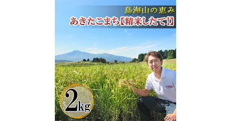 【ふるさと納税】鳥海山の恵み！秋田県産 あきたこまち ひの米 2kg（精米）　 ご飯 白米 主食 ライス にかほ市 釜ヶ台 国産 おにぎり お弁当