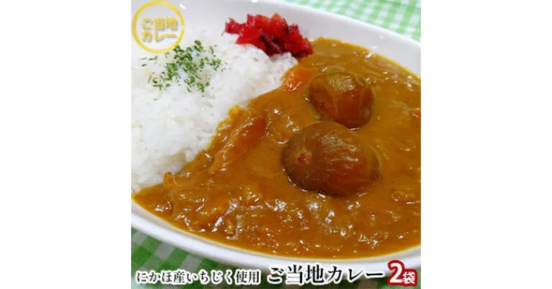 【ふるさと納税】ご当地カレー《ダイニングぶなの森オリジナル》にかほ名産 フルーティーないちじくのカレー（レトルト）220g×2個　加工食品 惣菜 レトルト お肉 牛肉 カレー いちじくカレー レトルトカレー