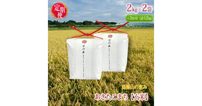 【ふるさと納税】《定期便》4kg×3ヶ月 秋田県産 あきたこまち 玄米 2kg×2袋 神宿る里の米「ひの米」（お米 小分け）　定期便・霊峰 鳥海山 自然 高原 冷涼 濃い味 新鮮 美味しい