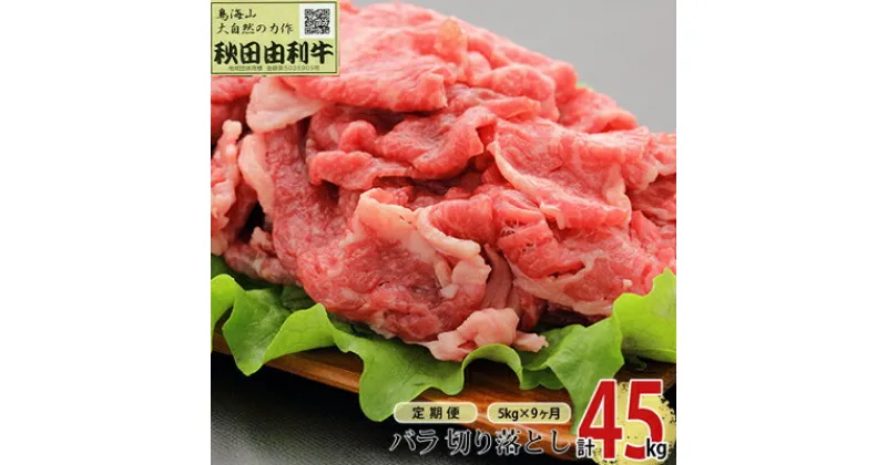 【ふるさと納税】《定期便》9ヶ月連続 秋田由利牛 バラ切り落とし 5kg（1kg×5パック）　定期便・ お肉 肉 牛肉 バラ 炒め物 黒毛和牛 赤身 サシ 9回 産地直送 冷凍