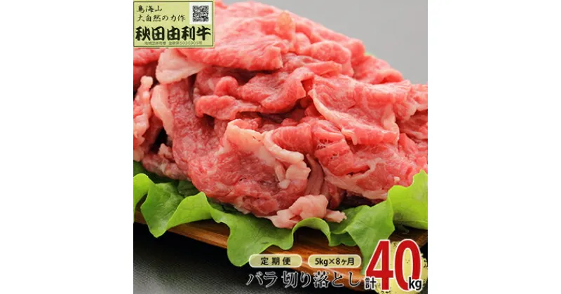 【ふるさと納税】《定期便》8ヶ月連続 秋田由利牛 バラ切り落とし 5kg（1kg×5パック）　定期便・ お肉 肉 牛肉 バラ 炒め物 黒毛和牛 赤身 サシ 8回 産地直送 冷凍