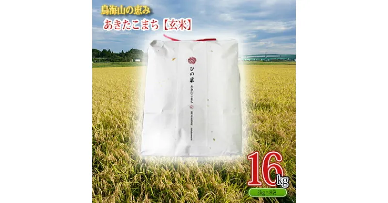 【ふるさと納税】秋田県産 あきたこまち 玄米 16kg（2kg×8袋）神宿る里の米「ひの米」（お米 小分け）　 ご飯 主食 ライス にかほ市 釜ヶ台 国産 おにぎり お弁当