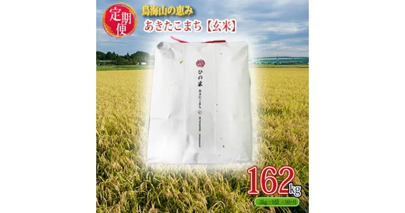 【ふるさと納税】《定期便》18kg×9ヶ月 秋田県産 あきたこまち 玄米 2kg×9袋 神宿る里の米「ひの米」（お米 小分け）　定期便・ ご飯 主食 ライス にかほ市 釜ヶ台 国産 おにぎり お弁当 9回 お届け