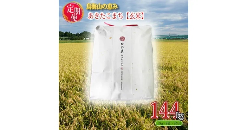 【ふるさと納税】《定期便》16kg×9ヶ月 秋田県産 あきたこまち 玄米 2kg×8袋 神宿る里の米「ひの米」（お米 小分け）　定期便・ ご飯 主食 ライス にかほ市 釜ヶ台 国産 おにぎり お弁当 9回 お届け