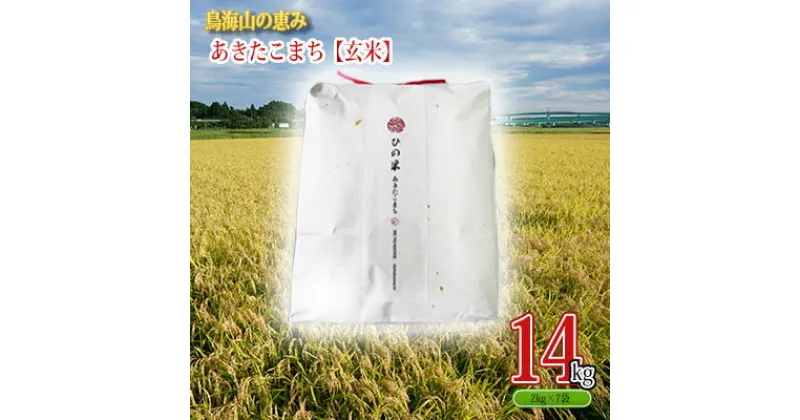 【ふるさと納税】秋田県産 あきたこまち 玄米 14kg（2kg×7袋）神宿る里の米「ひの米」（お米 小分け）　 ご飯 主食 ライス にかほ市 釜ヶ台 国産 おにぎり お弁当