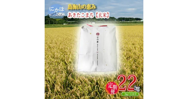 【ふるさと納税】《定期便》2kg×11ヶ月 鳥海山の恵み！秋田県産 あきたこまち ひの米（玄米）計22kg（2kg×11回連続）　定期便・ お米 美味しい 寒暖差 神宿る里の米 自然 無病息災 悪疫退散 ご利益 祝い