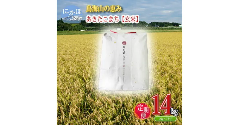 【ふるさと納税】《定期便》2kg×7ヶ月 鳥海山の恵み！秋田県産 あきたこまち ひの米（玄米）計14kg（2kg×7回連続）　定期便・ お米 美味しい 寒暖差 神宿る里の米 自然 無病息災 悪疫退散 ご利益 祝い