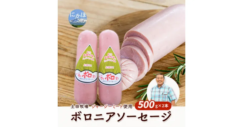 【ふるさと納税】生食OK！ジャージーミート使用 ボロニアソーセージ500g×2本　 加工品 お弁当 夕飯 朝食 おかず つまみ お酒のあて ジャージー牛肉 豚肉 特製ソーセージ 肉の加工品 炒め物 ソテー