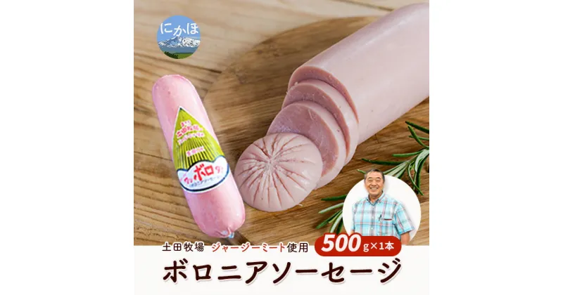 【ふるさと納税】生食OK！ジャージーミート使用 ボロニアソーセージ500g×1本　 加工品 お弁当 夕飯 朝食 おかず つまみ お酒のあて ジャージー牛肉 豚肉 特製ソーセージ 肉の加工品 炒め物 ソテー