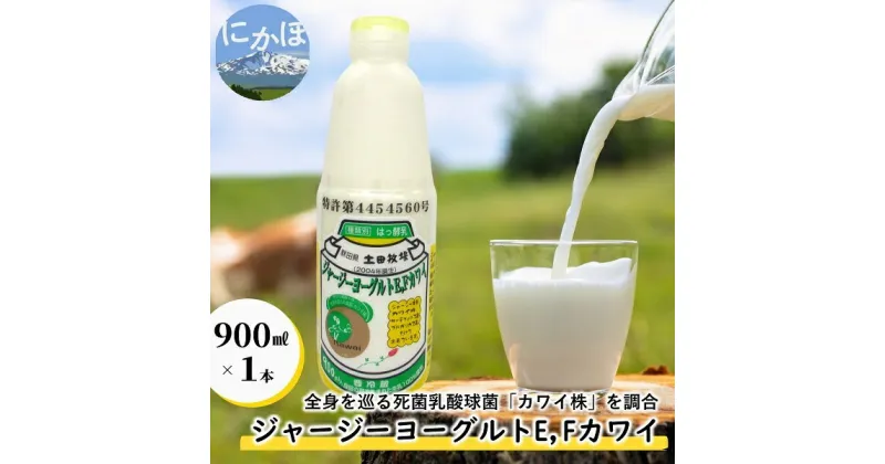 【ふるさと納税】ジャージー ヨーグルト（E・Fカワイ）900ml×1本（飲む ヨーグルト）　 乳飲料 4000円 乳酸菌 ドリンク ジャージー牛乳 乳製品