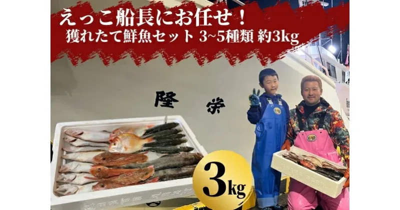 【ふるさと納税】えっこ船長にお任せ！獲れたて鮮魚セット 3～5種類 約3kg（鮮魚 詰合せ ボックス）　 魚介類 鮮魚セット