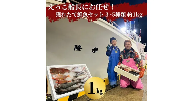 【ふるさと納税】えっこ船長にお任せ！獲れたて鮮魚セット 3～5種類 約1kg（鮮魚 詰合せ ボックス）　 魚介類 鮮魚セット