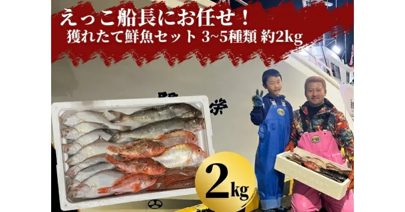 【ふるさと納税】えっこ船長にお任せ！獲れたて鮮魚セット 3～5種類 約2kg（鮮魚 詰合せ ボックス）　 鮮魚セット 鮮魚