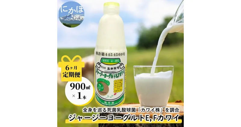 【ふるさと納税】毎月お届け！ジャージー ヨーグルト(E・Fカワイ)900ml×1本 6ヶ月定期便(飲む ヨーグルト)　定期便・ 乳飲料 ドリンク 死菌 乳酸菌 生乳 製造特許 安全 効果のある 予防医学食品 健康維持