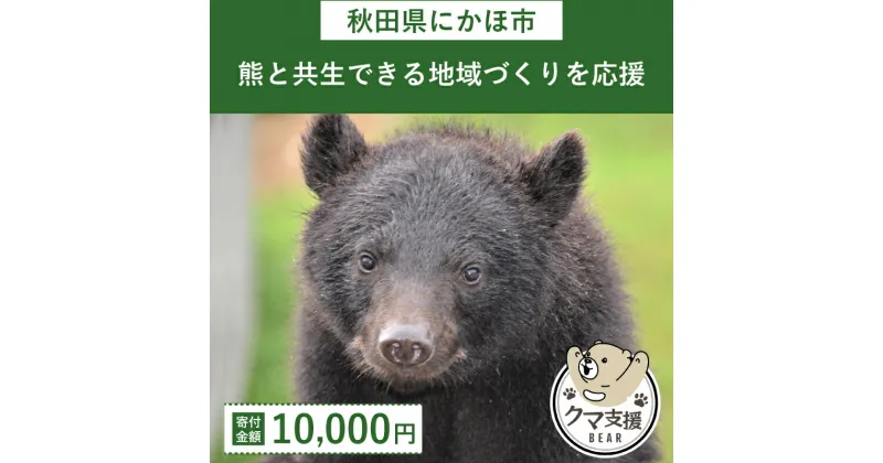 【ふるさと納税】《クマといい距離プロジェクト》寄附のみ10,000円　チケット