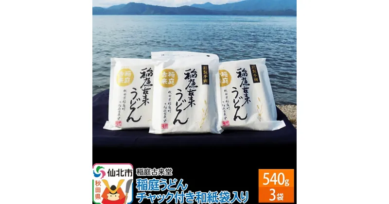 【ふるさと納税】稲庭古来堂 稲庭うどん チャック付き和紙袋入り 540g 3袋 【伝統製法認定】