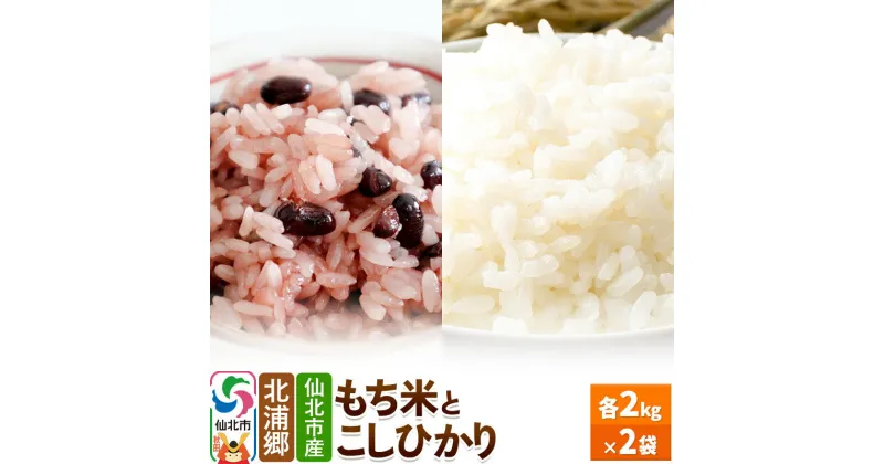 【ふるさと納税】仙北市産 もち米とこしひかりのセット 令和6年産 新米 先行受付 各2kg 2袋